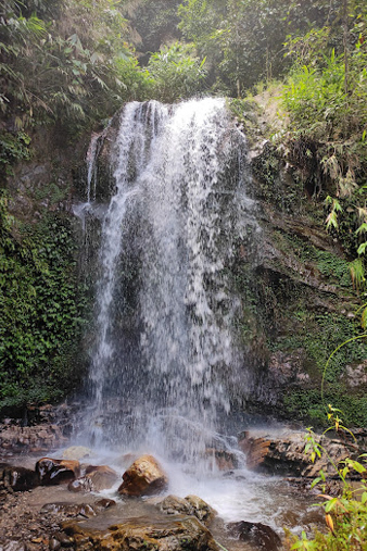 Water Falls 